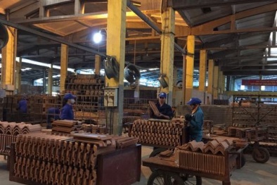 Nhà máy gạch Tiêu Giao tạo sự khác biệt bằng chất lượng sản phẩm