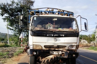 Sự thật gây sốc về vụ tai nạn khiến 5 người chết ở Gia Lai