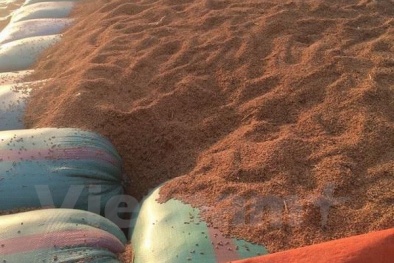 Đọc báo hôm nay: Những tin tức mới cập nhật ngày 12/12/2015