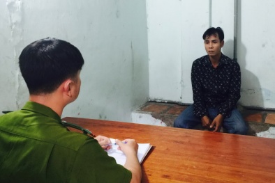 Tin tức pháp luật mới nhất 24h hôm nay ngày 13/12