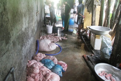 Đà Nẵng: ‘Nổi da gà’ trước cảnh chế biến mỡ heo bẩn
