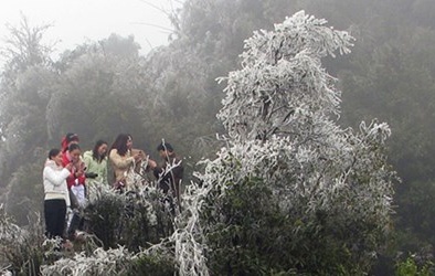 Sa Pa có thể xuất hiện băng giá