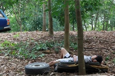 Chuyện ‘ăn bờ ở bụi’ khó tin của sao Việt