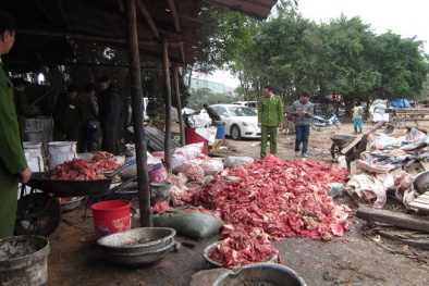 Phát hiện cơ sở tàng trữ 6 tấn da trâu, bò, mỡ bẩn