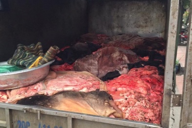 Bắt 1 tấn da, nội tạng trâu bò ướp muối và chất bảo quản