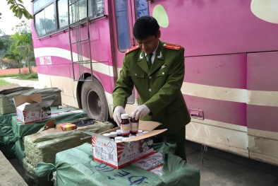 Thu giữ hàng ngàn lọ thuốc bảo vệ thực vật lậu có xuất xứ từ Trung Quốc