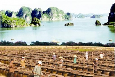 Quảng Ninh: Mô hình sản xuất nước mắm cho năng suất chất lượng cao