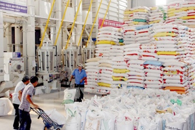 Quy trình lúa gạo khép kín tăng năng suất và chất lượng gạo ở Ninh Bình