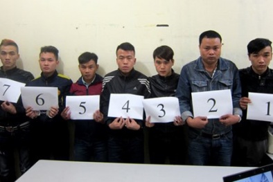 Tin tức pháp luật mới nhất 24h hôm nay ngày 20/12