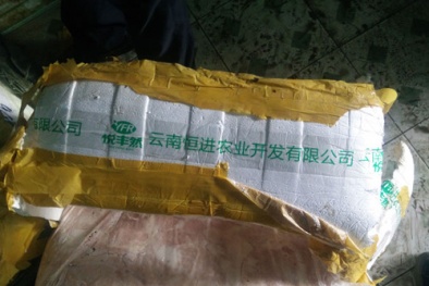 Phá đường dây buôn bán vú heo thối từ Trung Quốc