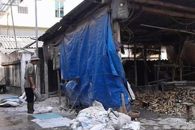 Hãi hùng thực phẩm bẩn được 'găm' lại để... chờ Tết