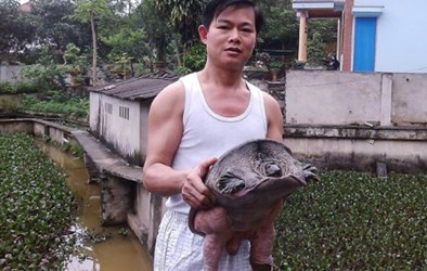 Chuyện có thật về ba ba gai 'cõng tiền tỷ' tới cho người nông thôn nghèo