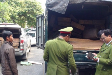 Tin tức pháp luật mới nhất hôm nay ngày 28/12 