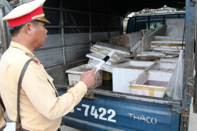 Mở thùng xe phát hiện hàng chục thùng xốp chở lòng lợn hôi thối 