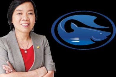 Danh sách 10 'nữ hoàng' trên sàn chứng khoán Việt Nam năm 2015