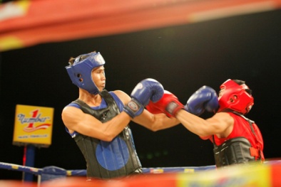 Lộ diện 8 nhà vô địch giải 'Võ cổ truyền tranh đai vô địch Number 1  năm 2015'