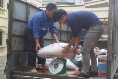 ‘Tóm gọn’ đối tượng chuyên bán nội tạng thối cho nhà hàng