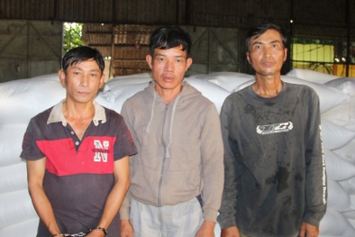 Tin tức pháp luật mới nhất hôm nay ngày 2/1