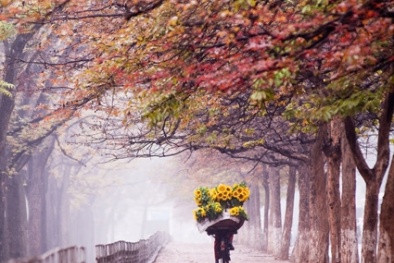 Dự báo thời tiết ngày 03/01/2016: Nắng xuất hiện một vài nơi 