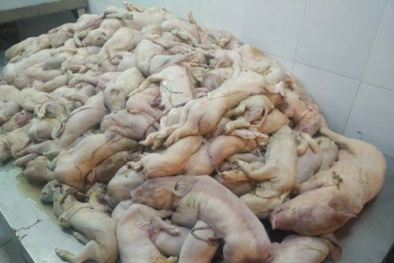 Vạch trần 'đường đi' của thịt bẩn