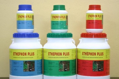 Chất làm chín trái cây Ethephon có gây hại cho sức khỏe?