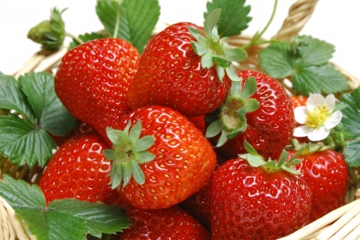 Ngừa ung thư tinh hoàn với những thực phẩm cực quen thuộc