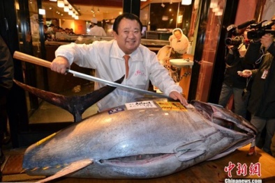 Chi 2,4 tỷ đồng mua cá ngừ vây xanh nặng 200kg