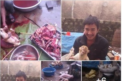 Kinh hoàng trước chùm ảnh giết hại khỉ dã man, vô nhân tính