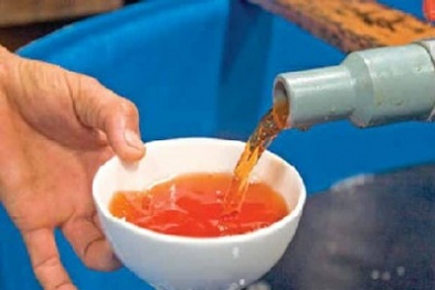 Nước mắm Phú Yên: Nhãn hiệu tập thể giúp kiểm soát chặt chất lượng sản phẩm