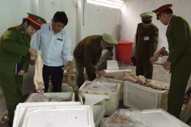 Nhanh chóng tiêu hủy hơn 1 tấn tiết bò, bắp bò hôi thối