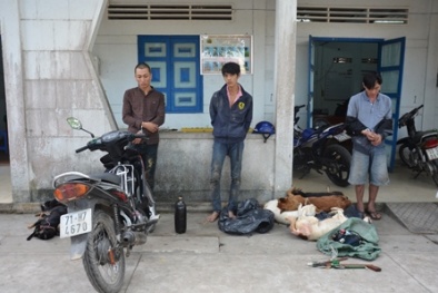 Tin tức pháp luật mới nhất hôm nay ngày 7/1