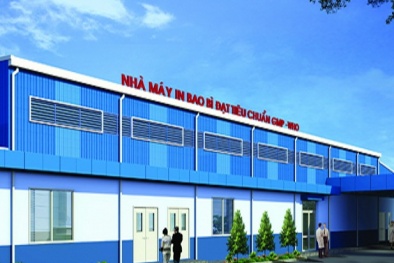 Công ty Kiến Việt sản xuất bao bì dược phẩm không đạt tiêu chuẩn GMP