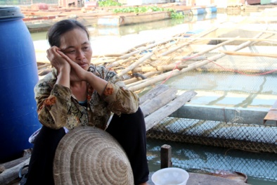 Đau đớn nhìn tiền tỷ trôi theo những vựa cá chết trên sông Đồng Nai