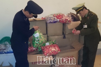 Liên tiếp phát hiện lượng lớn dược liệu 'mập mờ' nguồn gốc về Việt Nam