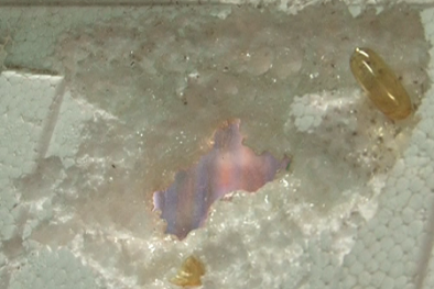 Thực phẩm chức năng Omega 3 ăn mòn miếng xốp: Cục trưởng Cục ATTP nói gì?