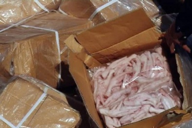 Hãi hùng phát hiện hơn 19 tấn chân gà đông lạnh nhiễm virus cúm ở Trung Quốc