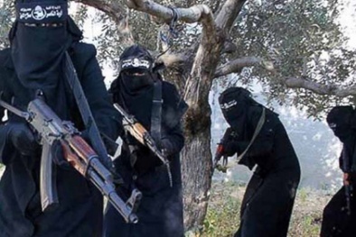 Những tin tức mới cập nhật về tình hình khủng bố IS ngày 8/01/2016