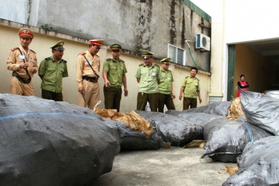 Vẫn bị bắt dù giấu kĩ 1,3 tấn bì lợn thối lẫn với mỹ phẩm 