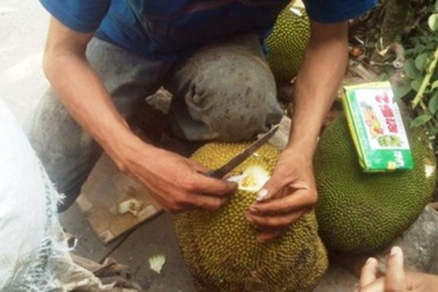 Chính phủ quyết tâm ngăn chặn, đẩy lùi 'thực phẩm bẩn'