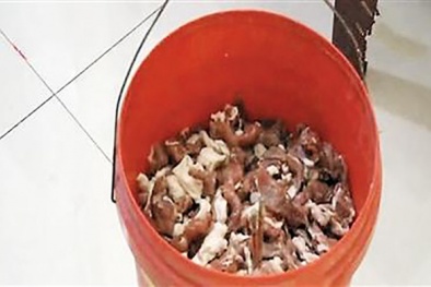 Kinh hoàng thịt lợn phát sáng trong đêm