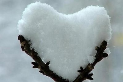 Dự báo thời tiết ngày 11/01/2016: Miền Bắc trời chuyển lạnh 