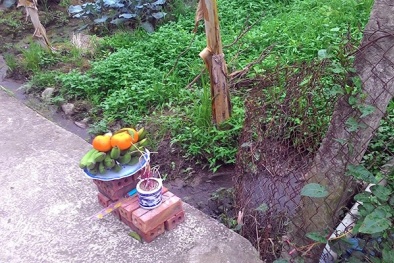 Án mạng hy hữu ở Nam Định: Giết người vì mùi phân tưới rau quá thối