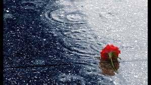 Dự báo thời tiết ngày 12/01/2016: Vùng núi có mưa rét 