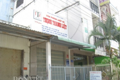 Luật sư hành nghề hàng chục năm nhưng không có... bằng cấp 3