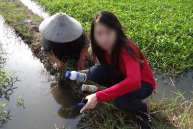 Rau muống bị tưới nhớt, ngâm hóa chất gây hại gì?