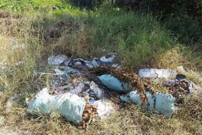 Công viên trăm tỷ 'để làm vương quốc cỏ' um tùm giữa Sài Gòn 