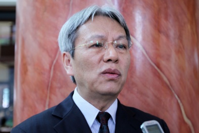 TS Nguyễn Sĩ Dũng: 'Quan chức hành chính không nên kiêm đại biểu Quốc hội'