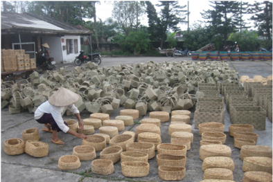 Xây dựng nhãn hiệu tập thể Cói Kim Sơn