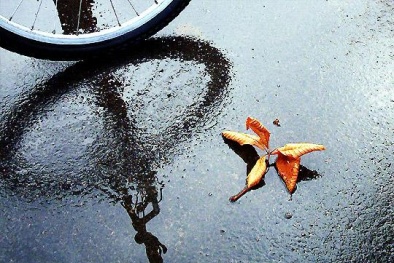 Dự báo thời tiết ngày 14/01/2016: Bắc Bộ trời rét, có mưa vài nơi 