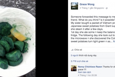 Không có chuyện khoai lang Việt Nam chuyển màu xanh vì nhiễm dioxine